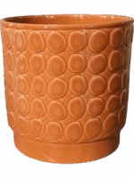 Eno Rel. D 10 H 11 cm - PlantenShop24 - 27-05-2025