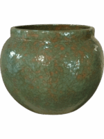 Anogo D 30 H 26 cm - PlantenShop24 - 27-05-2025
