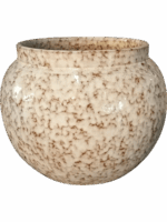 Anogo D 30 H 26 cm - PlantenShop24 - 27-05-2025