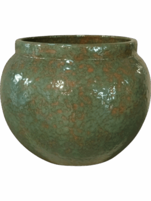 Anogo D 38 H 33 cm - PlantenShop24 - 27-05-2025