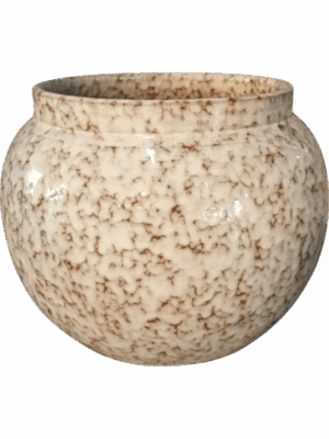 Anogo D 42 H 36 cm - PlantenShop24 - 27-05-2025