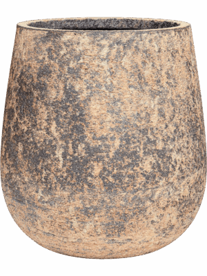 Baq Atlas D 38 H 40 cm - PlantenShop24 - 07-05-2025
