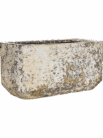 Baq Atlas D 40 H 40 cm - PlantenShop24 - 07-05-2025