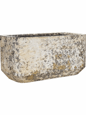 Baq Atlas D 40 H 40 cm - PlantenShop24 - 07-05-2025