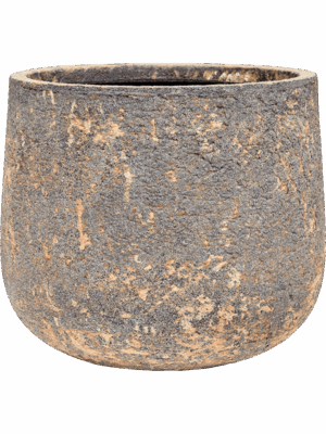 Baq Atlas D 44 H 36 cm - PlantenShop24 - 07-05-2025