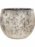 Baq Atlas D 45 H 35 cm - PlantenShop24 - 07-05-2025
