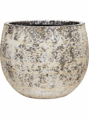 Baq Atlas D 45 H 35 cm - PlantenShop24 - 07-05-2025