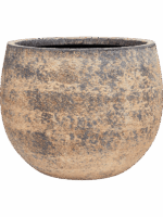 Baq Atlas D 45 H 35 cm - PlantenShop24 - 07-05-2025