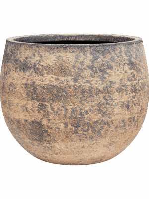 Baq Atlas D 45 H 35 cm - PlantenShop24 - 07-05-2025