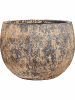 Baq Atlas D 57 H 42 cm - PlantenShop24 - 26-05-2025
