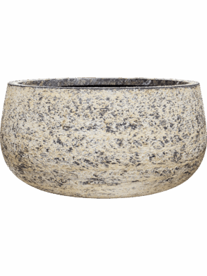 Baq Atlas D 62 H 31 cm - PlantenShop24 - 07-05-2025