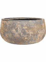 Baq Atlas D 62 H 31 cm - PlantenShop24 - 07-05-2025