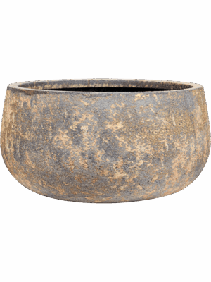 Baq Atlas D 62 H 31 cm - PlantenShop24 - 07-05-2025