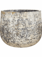 Baq Atlas D 65 H 50 cm - PlantenShop24 - 07-05-2025