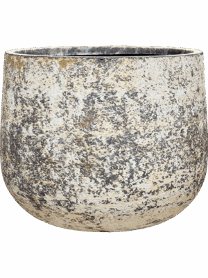 Baq Atlas D 65 H 50 cm - PlantenShop24 - 07-05-2025