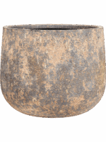 Baq Atlas D 65 H 50 cm - PlantenShop24 - 07-05-2025