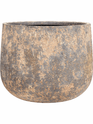 Baq Atlas D 65 H 50 cm - PlantenShop24 - 07-05-2025