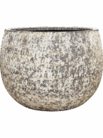 Baq Atlas D 90 H 67 cm - PlantenShop24 - 07-05-2025