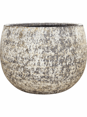 Baq Atlas D 90 H 67 cm - PlantenShop24 - 07-05-2025