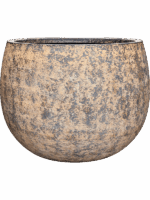 Baq Atlas D 90 H 67 cm - PlantenShop24 - 07-05-2025