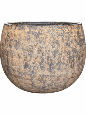Baq Atlas D 90 H 67 cm - PlantenShop24 - 07-05-2025