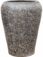 Baq Lava D 58 H 83 cm - PlantenShop24 - 19-05-2025