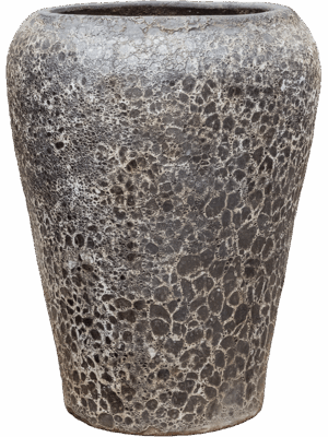 Baq Lava D 58 H 83 cm - PlantenShop24 - 19-05-2025