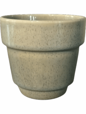 Cera D 15 H 14 cm - PlantenShop24 - 27-05-2025