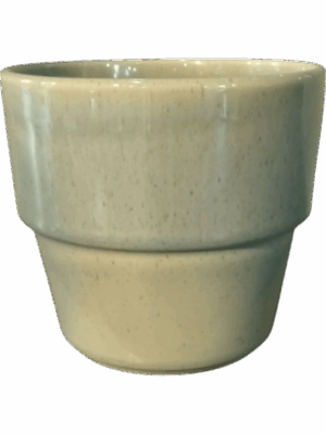 Cera D 18 H 16 cm - PlantenShop24 - 27-05-2025