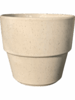Cera D 18 H 16 cm - PlantenShop24 - 27-05-2025