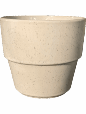 Cera D 18 H 16 cm - PlantenShop24 - 27-05-2025