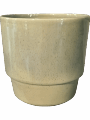 Cera D 23 H 22 cm - PlantenShop24 - 27-05-2025