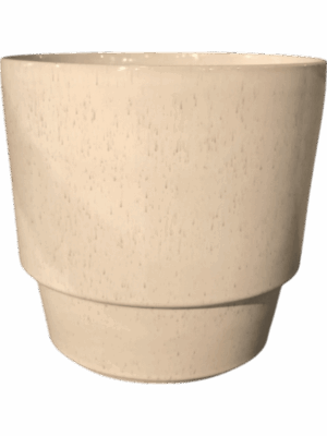 Cera D 23 H 22 cm - PlantenShop24 - 30-05-2025