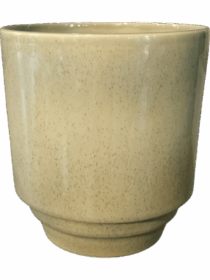 Cera D 27 H 29 cm - PlantenShop24 - 30-05-2025