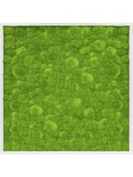 Moss Painting D 100 H 6 cm - PlantenShop24 - 16-05-2025