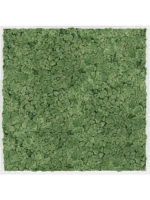 Moss Painting D 100 H 6 cm - PlantenShop24 - 16-05-2025