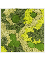 Moss Painting D 100 H 6 cm - PlantenShop24 - 16-05-2025