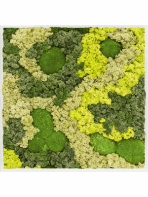 Moss Painting D 100 H 6 cm - PlantenShop24 - 16-05-2025