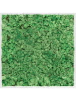 Moss Painting D 100 H 6 cm - PlantenShop24 - 16-05-2025