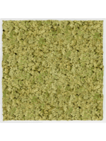 Moss Painting D 100 H 6 cm - PlantenShop24 - 16-05-2025
