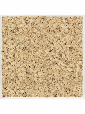 Moss Painting D 100 H 6 cm - PlantenShop24 - 16-05-2025