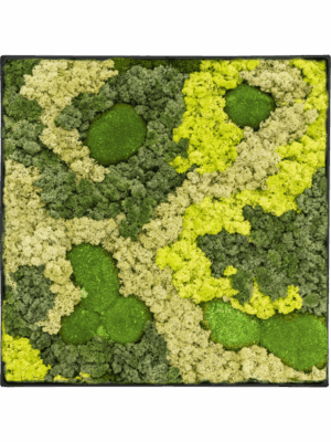 Moss Painting D 40 H 5 cm - PlantenShop24 - 29-04-2025