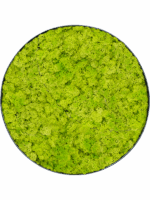 Moss Painting D 80 H 5 cm - PlantenShop24 - 09-05-2025