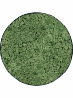 Moss Painting D 80 H 5 cm - PlantenShop24 - 09-05-2025