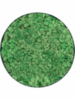 Moss Painting D 80 H 5 cm - PlantenShop24 - 09-05-2025