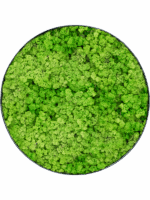 Moss Painting D 90 H 5 cm - PlantenShop24 - 09-05-2025