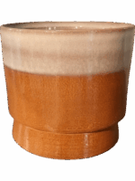 Robusto D 29 H 25 cm - PlantenShop24 - 27-05-2025