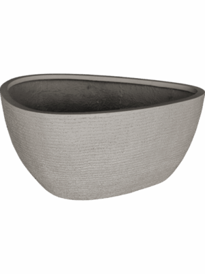 Ruvido D 67 H 30 cm - PlantenShop24 - 27-05-2025