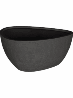 Ruvido D 67 H 30 cm - PlantenShop24 - 27-05-2025