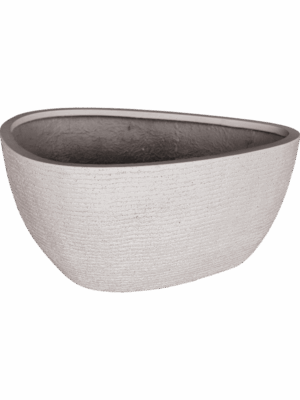 Ruvido D 67 H 30 cm - PlantenShop24 - 27-05-2025